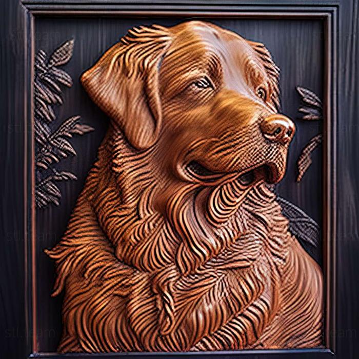 3D model The Nova Scotia Retriever dog (STL)